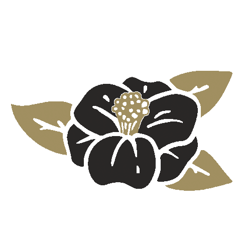 Booch Sticker by Camellia Grove Kombucha