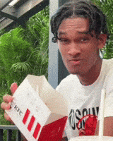 Fried Chicken Kfc GIF