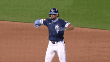Major League Baseball Sport GIF by MLB