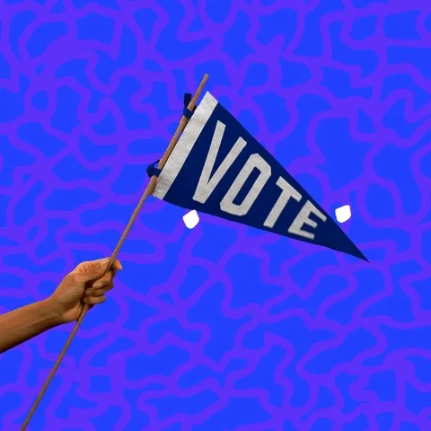 Voting Election Day GIF by Hello All