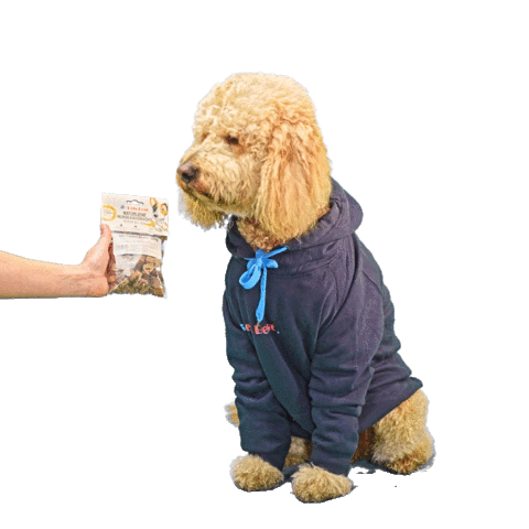 Pets Best Sticker