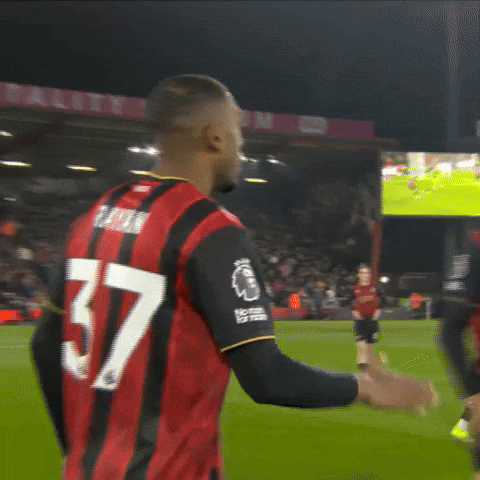 Premier League Football Hug GIF by AFC Bournemouth