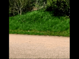 raymondbatsford cycling GIF