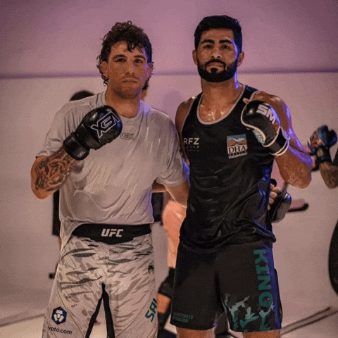 Ufc Fighter GIF