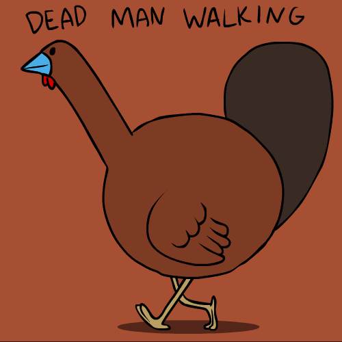 Illustrated gif. A turkey is casually walking and bobbing along and the text above it reads, "Dead man walking."