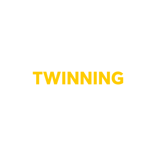 Fashion Twinning Sticker by tbwa\nl