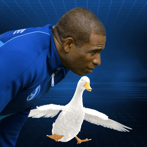 College Football GIF by Aflac Duck