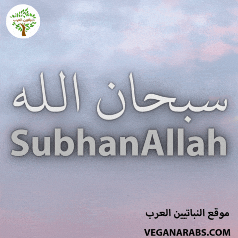 Islam Arabic Language GIF by VeganArabs