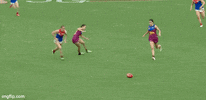 Aflw GIF