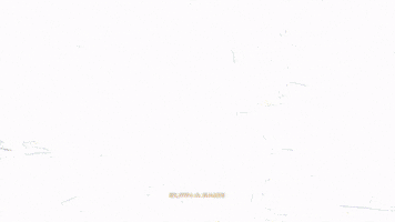 All I Need Vector GIF by A FILM BY SUAVE