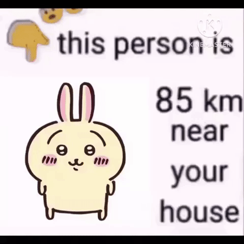 Usagi GIF