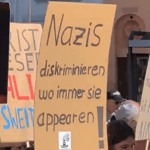 Demo Demonstration GIF by Die Linke Schwelm