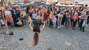 Kolinskaspolecnostpopravu GIF by Poprávu