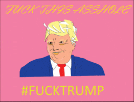 trump traitor GIF