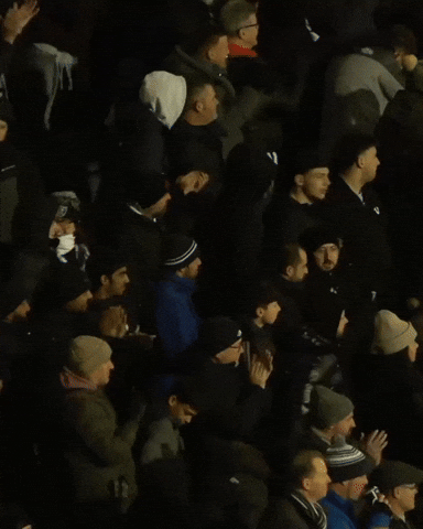 West Brom Wba GIF by West Bromwich Albion