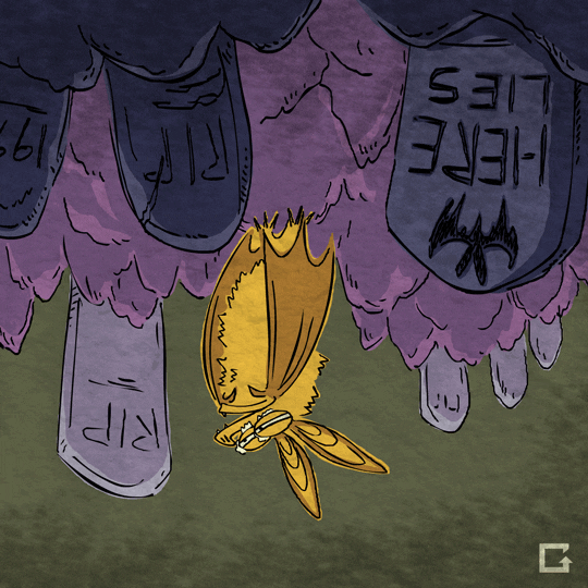 Bats Preservation Gif By gif Find & Share on GIPHY