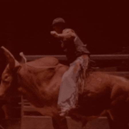 Rodeio Brahma GIF by Vedacit