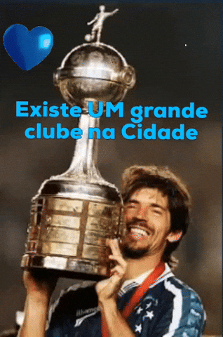 Libertadores Cruzeiro GIF