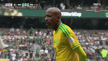 Shocked World Cup GIF