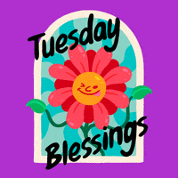 Tuesday Blessing GIF by GIPHY Studios 2022