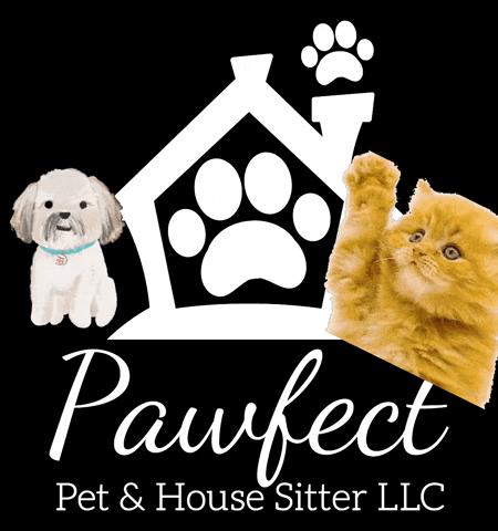 Pawfect Pet & House Sitter GIF