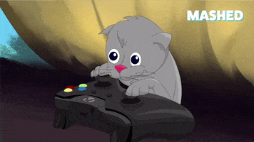 Video Games Cat GIF by Mashed