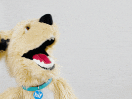 GIF by HIF Australia