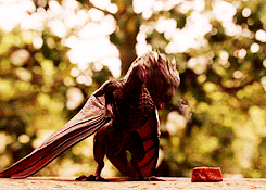 Mother Dragons GIF