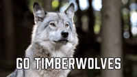 Go Timberwolves