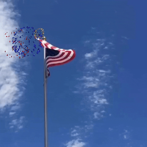 Happy Veterans Day Gifs Get The Best Gif On Giphy