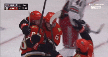 Ducks Viel GIF
