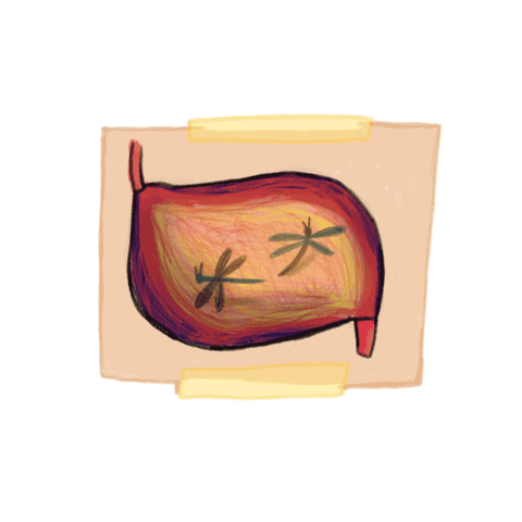 Animated Sticker