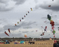 Kite Flying Festival GIF by Storyful