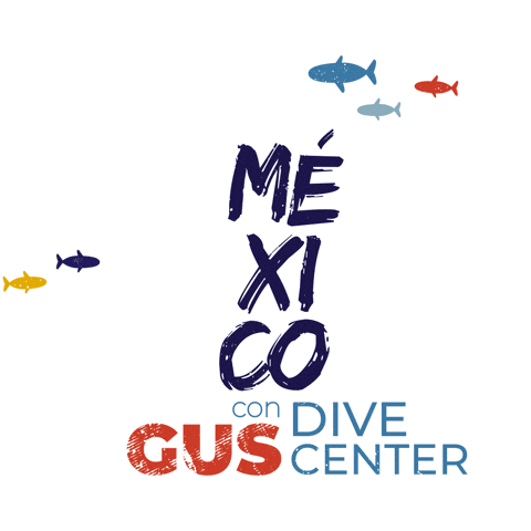 Gus Dive Center GIF