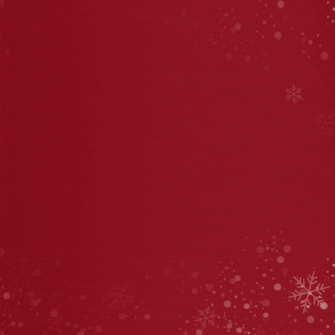 Happy Holidays GIF by Radius ph