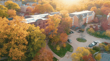 Fall College GIF by Washington University in St. Louis