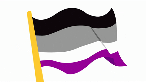 Asexual bandera