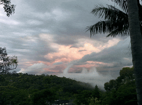fog