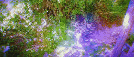 Code GIF