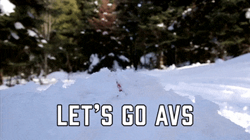 Colorado Avalanche Sport GIF by Sealed With A GIF