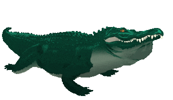 Zurich Alligator Sticker by Waste Management
