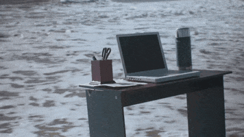 anerkjendt GIF