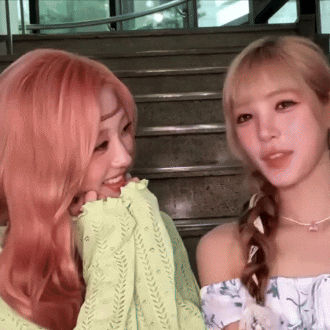 Stella GIF