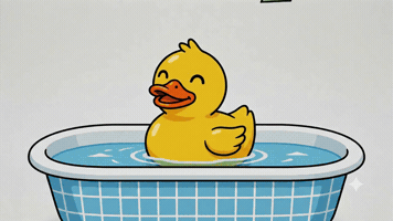 GIF by Duckshop