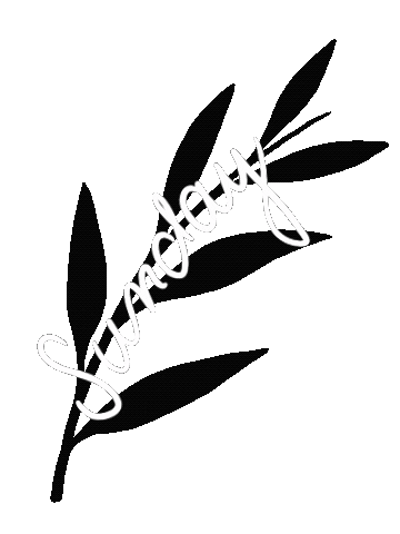 Sunday Nedele Sticker