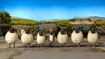 irish GIF by Shaun the Sheep