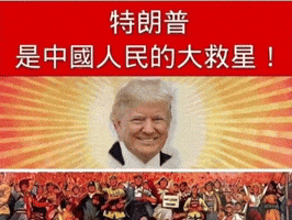 China Trump GIF