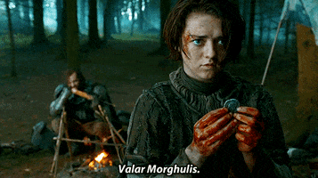 game of thrones house GIF
