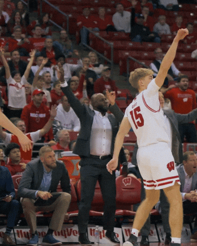 Celebration 3Pt GIF by Wisconsin Badgers