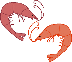 Shrimps Sticker